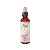 Bach Dråber Stilk Eg | 10 ml fra Bach Originale Blomsterremedier på Mecindo.dk