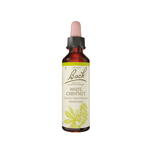 Bach Dråber Hestekastajne | 10 ml fra Bach Originale Blomsterremedier på Mecindo.dk