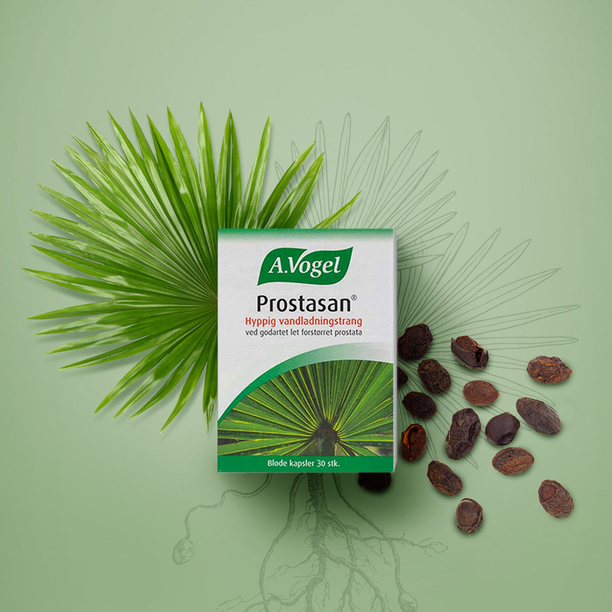 A.Vogel Prostasan | 30 kaplser