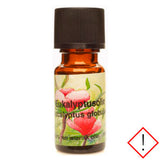 Eukalyptusolie Æterisk | 30 ml fra Mecindo.dk på Mecindo.dk