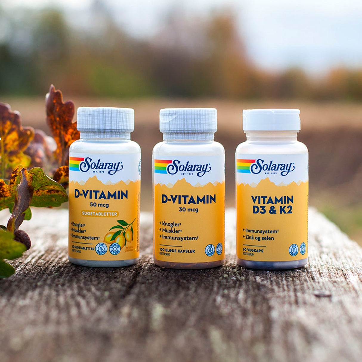 Solaray D-vitamin 50 Mcg | 60 Tabl. fra Solaray på Mecindo.dk