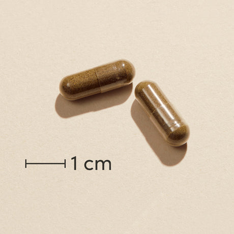 Biosym Omnivita Echinagold | 60 kapsler fra Biosym på Mecindo.dk